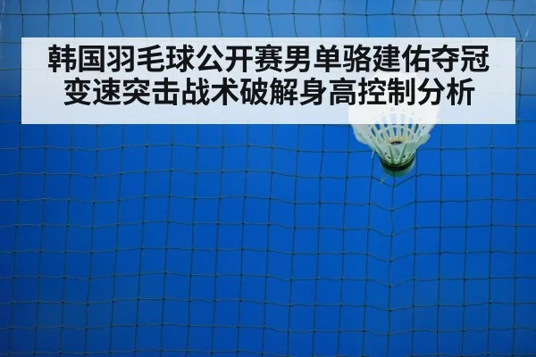 badminton net play